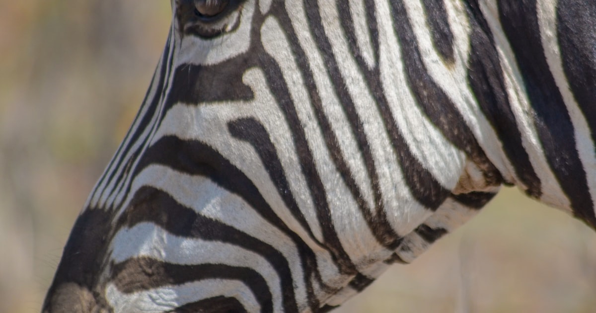 Conference Venues in North West Province