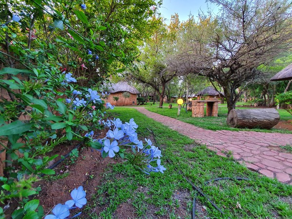 Blommelot Bush Lodge