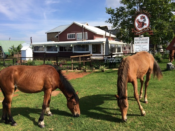 Bohemian Groove Cafe