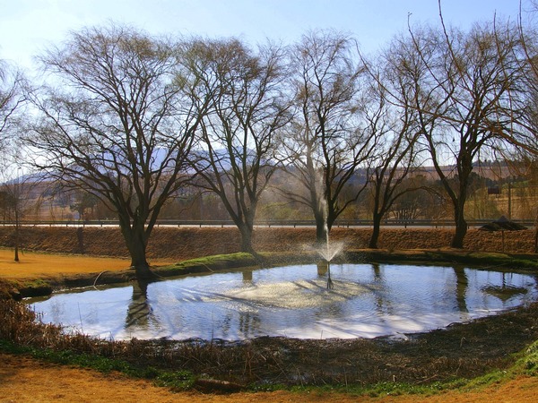 Harrismith Hotel & Conference