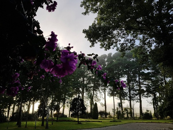 Highveld Splendour Boutique Bed & Breakfast