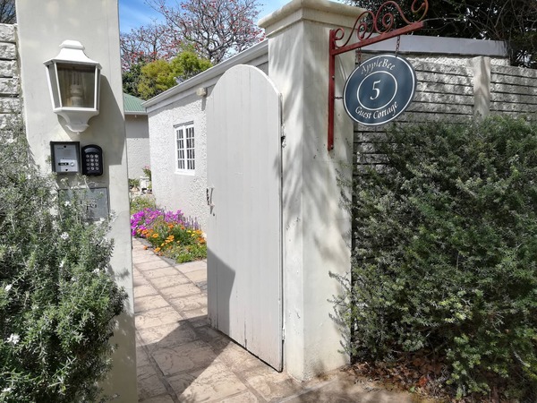 Pumba Msenge Bush Lodge