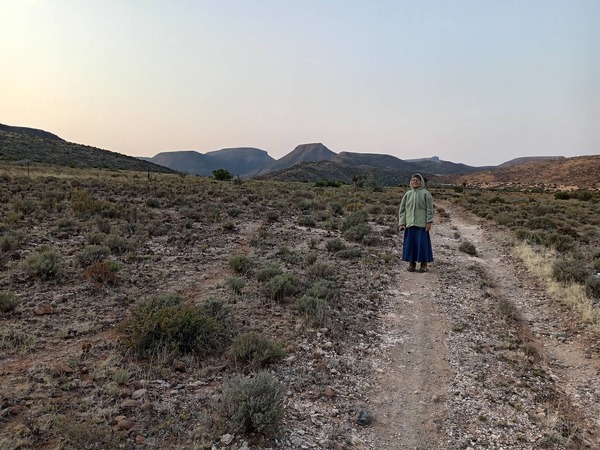 Wild Olive Guest Farm & Conference